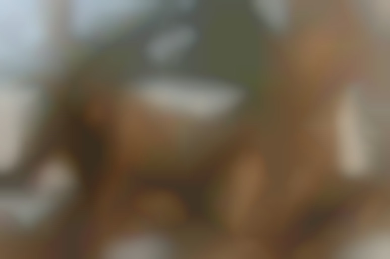 Dans les coulisses du X